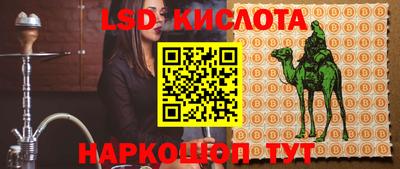стаф Можга