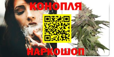 стаф Можга