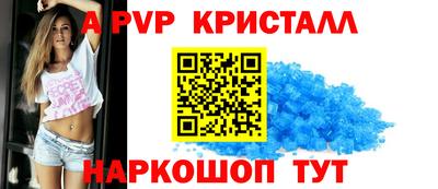 стаф Можга