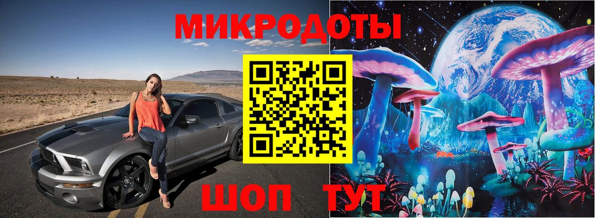Галлюциногенные грибы Psilocybine cubensis Волгоград